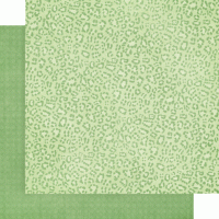 Graphic 45 Wild & Free 12x12 Inch Patterns & Solids Pack (4502406)